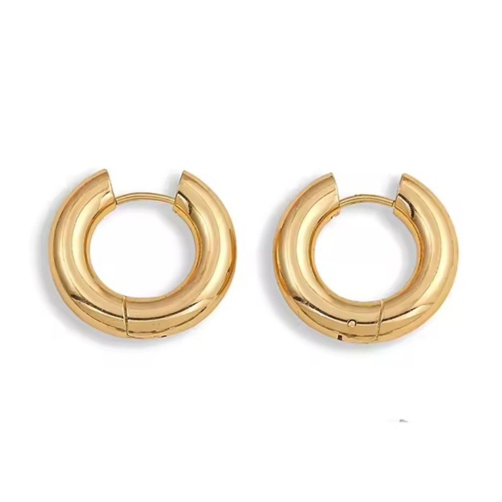 Aureum Huggie Earrings