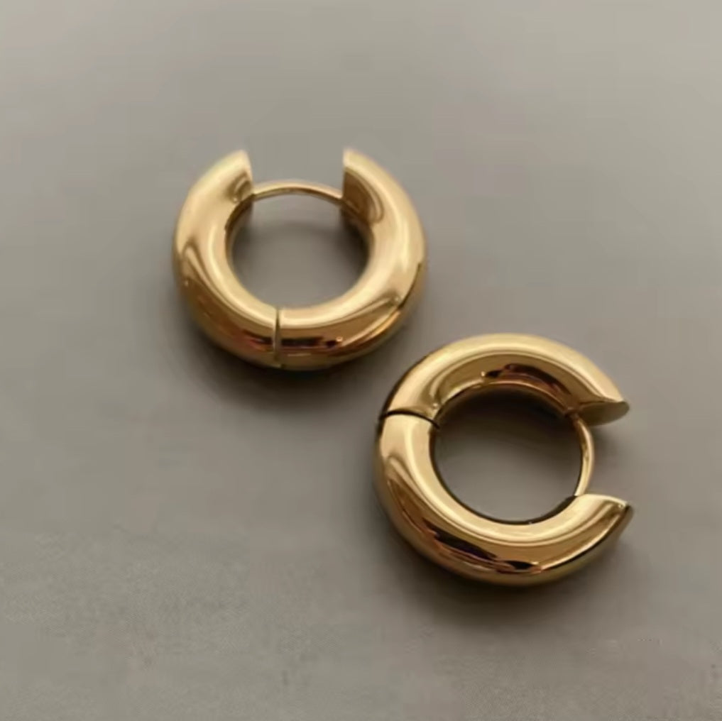 Aureum Huggie Earrings